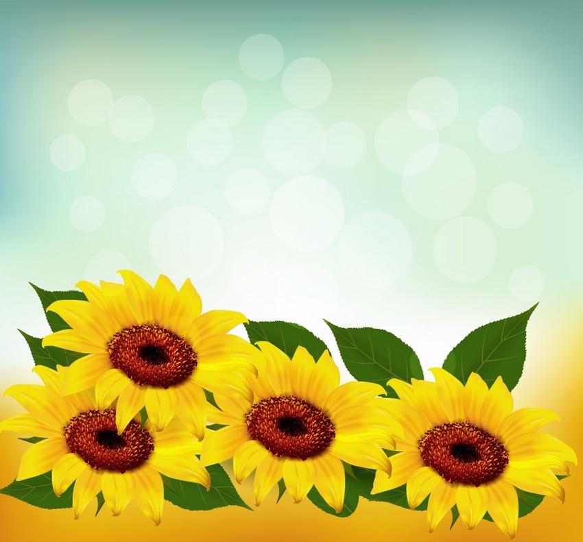 How To Draw A Gradient Mesh Sunflower In Adobe Illustrator Envato Tuts